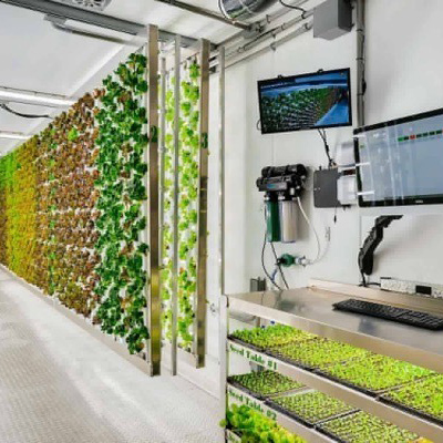 Hydroponic Shipping Container Farms Box Modular Farm Solution 40hq Hydroponic Container System