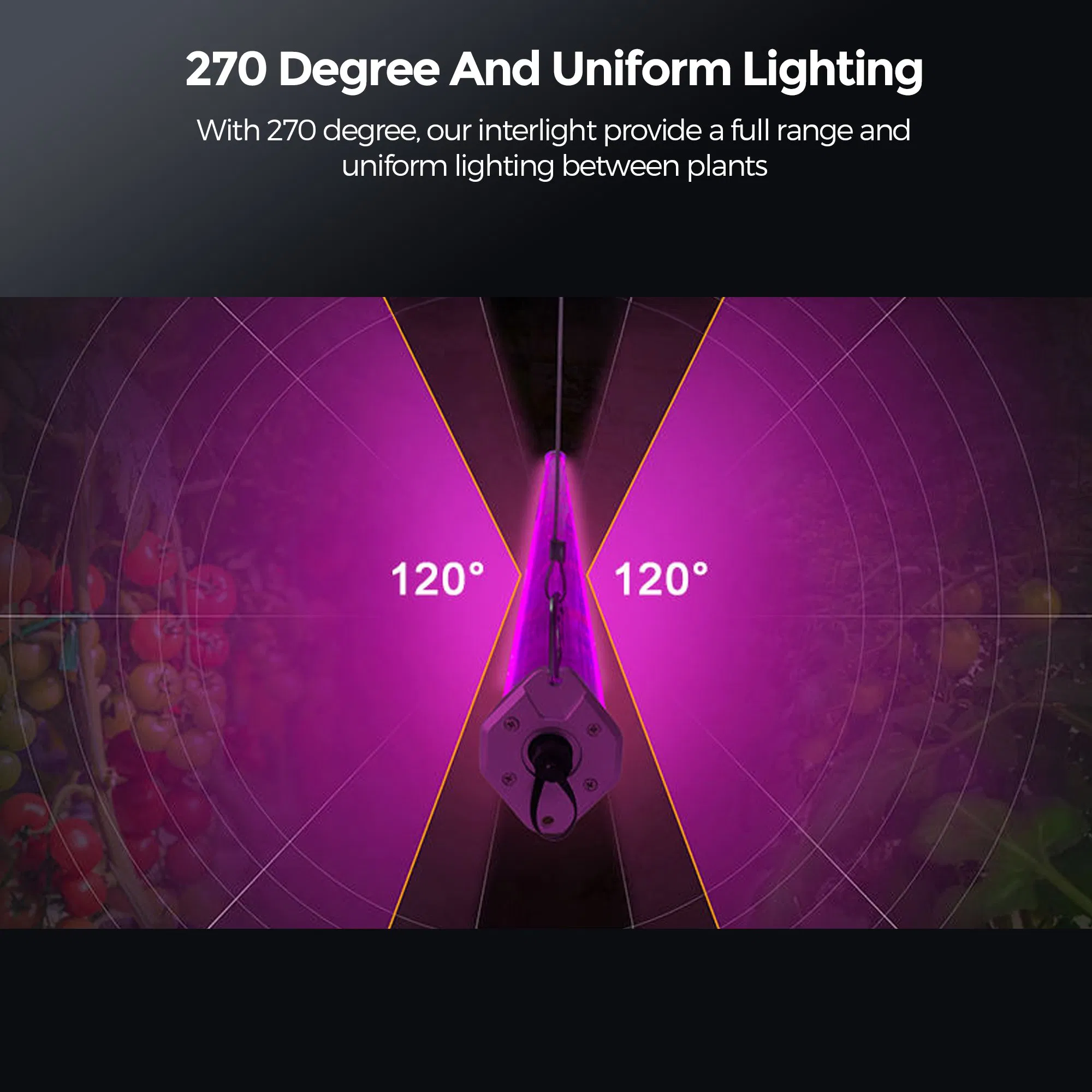 100W Vertical Hanging LED Plant Grow Light Suitable for Intercropping Lighting in Strawberry, Lettuce, and Tomato Hydroponic Farms