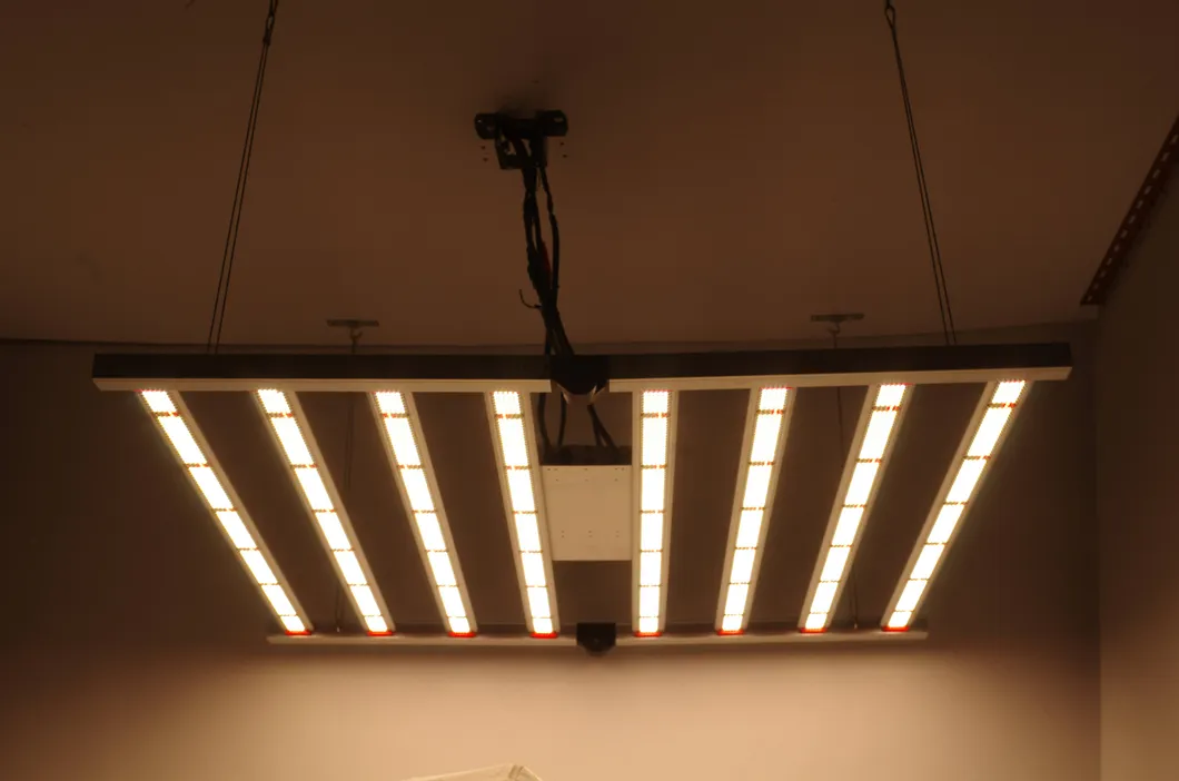 LED Grow Light Size and Specs