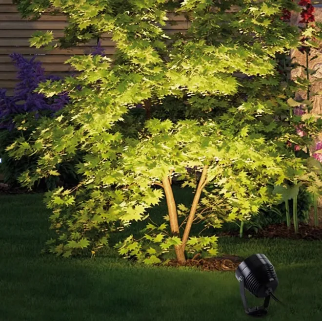 Application Effect 1