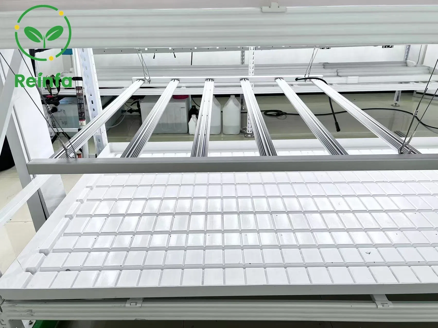 High Efficiency 650W LED Grow Light for Indoor Hydroponic System