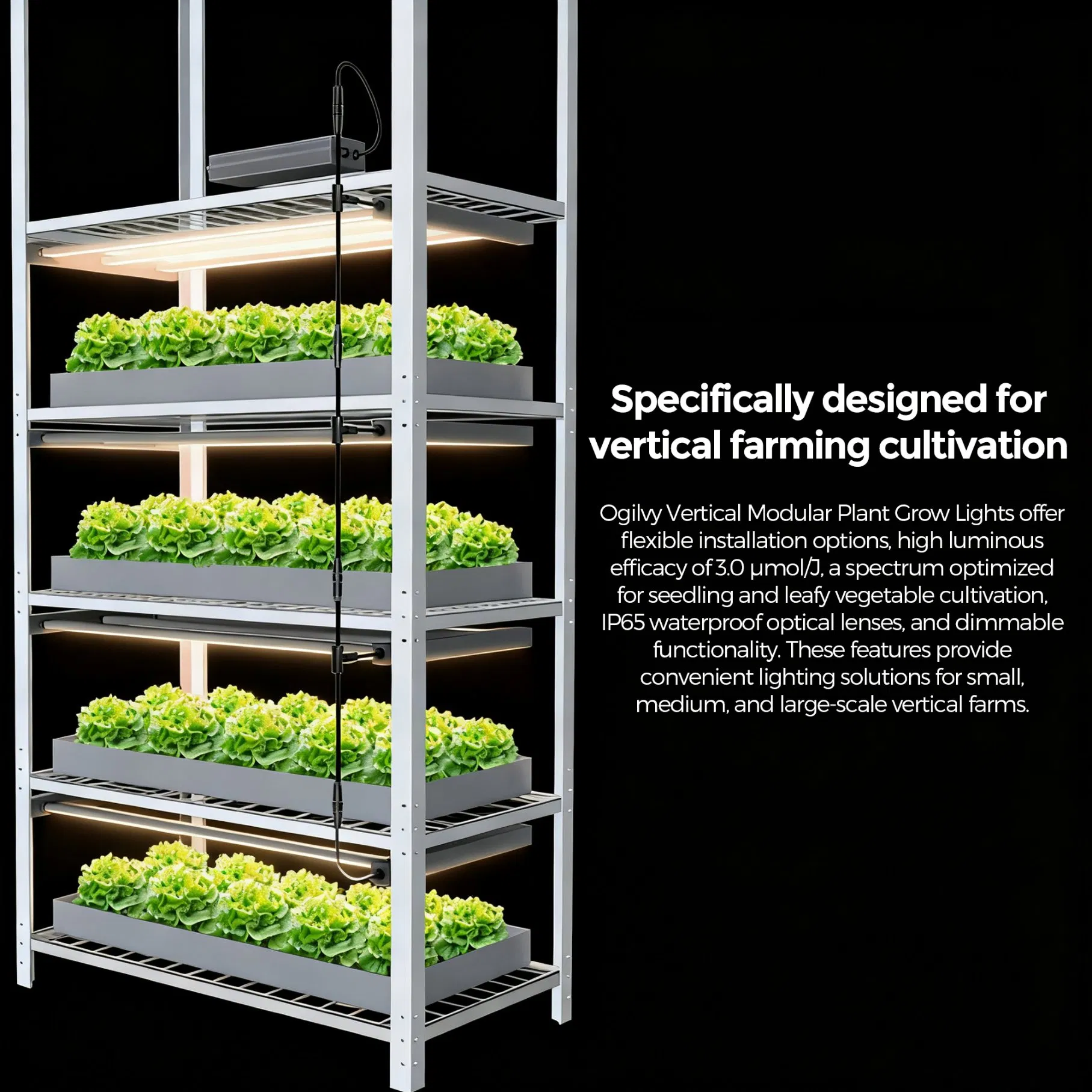 Supplemental Linear LED Plant Grow Light for Greenhouse Crops, Full Spectrum, IP65