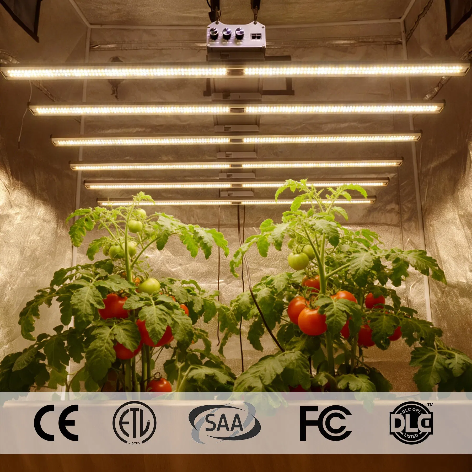 ETL/CE/Dlc Certified LED Grow Light 660nm Red + 730nm IR for Medicinal Plants &amp; Flowering Fruiting