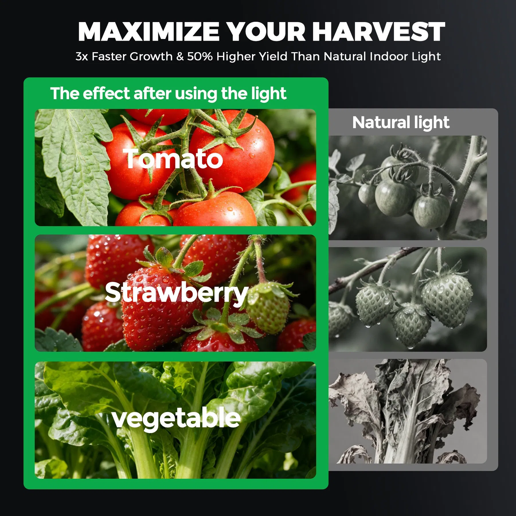 ETL/CE/Dlc Certified LED Grow Light 660nm Red + 730nm IR for Medicinal Plants &amp; Flowering Fruiting