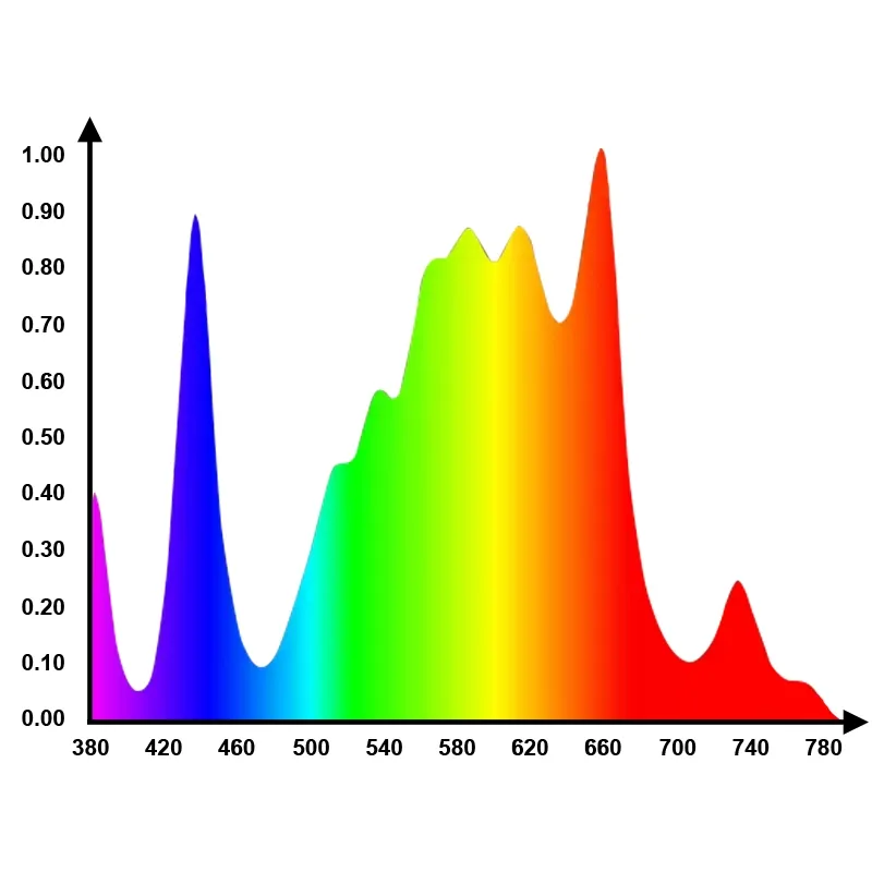 Light Spectrum