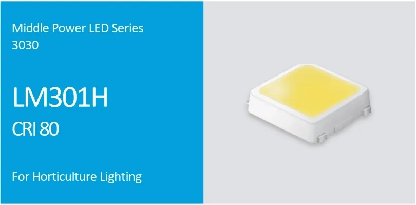 Samsung Chips Advantage