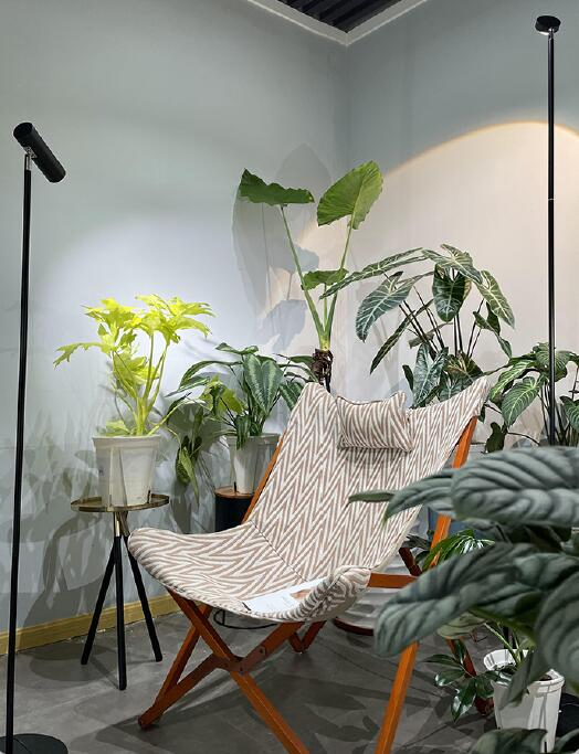 Full Spectrum COB Plant Grow Light, Floor-to-Ceiling Plant Fill Light, Automatic Timer, Dimmable Brightness for Indoor, 10W 1.6m Height