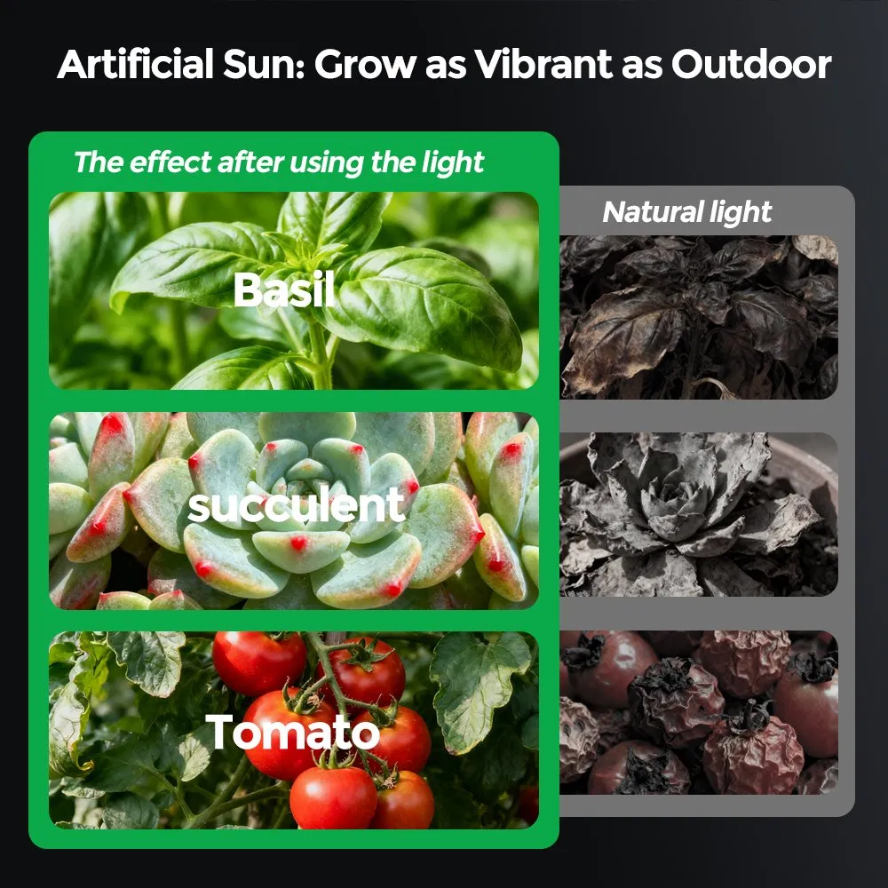 Vertical Inter-Canopy Supplemental LED Grow Light for Greenhouse Crops with Blue &amp; Red Spectrum