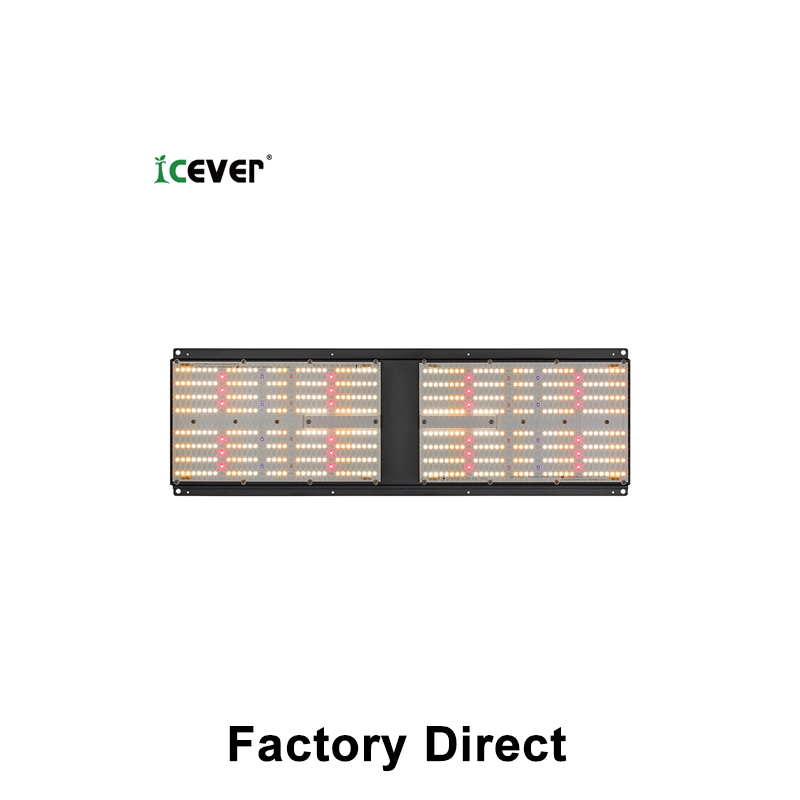 Qb UVB/UV Efficient Small Manufacturer IP 65 Large-Scale Growing LED Grow Light for Indoor Plant IR with Samsung LEDs (EMC)