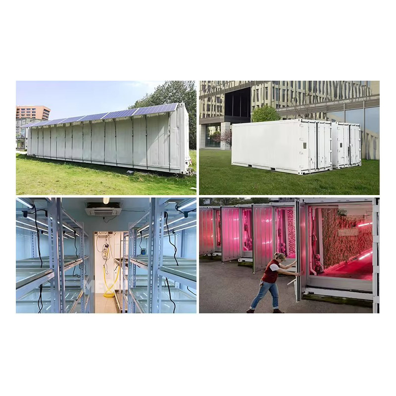 Agg Strawberry Wheat Grow 20FT 40FT Strawberry Hydroponic Lettuce Shipping Container Farm Plant Integrated Cargo Aquaculture System for Growing Herbs, Flowers