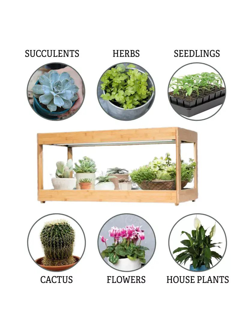 Premium Ultra-Bright LED Grow Light for Herb Cultivation