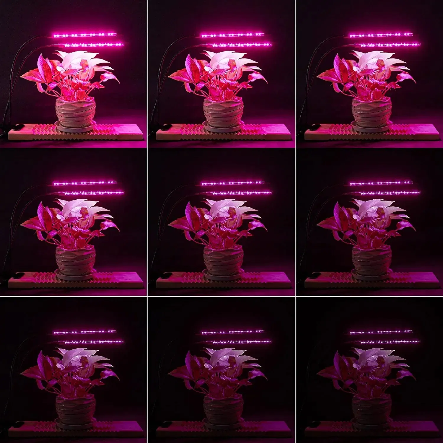 Grow Lights for Indoor Plants/Herb Starter/Clone Red Blue Spectrum Plant Grow Light Adjustable Gooseneck