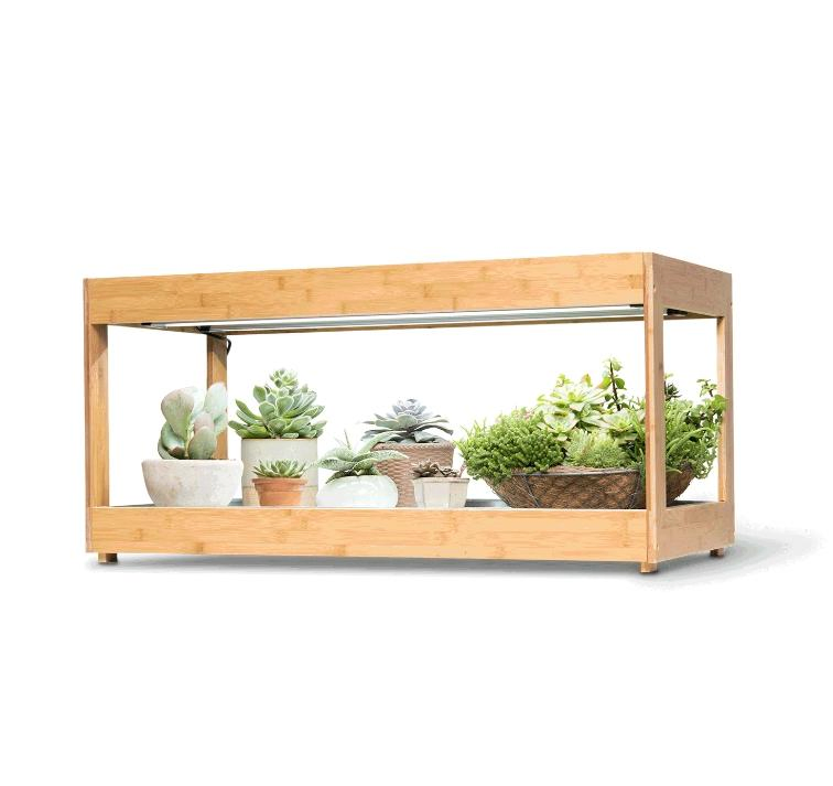 Premium Ultra-Bright LED Grow Light for Herb Cultivation