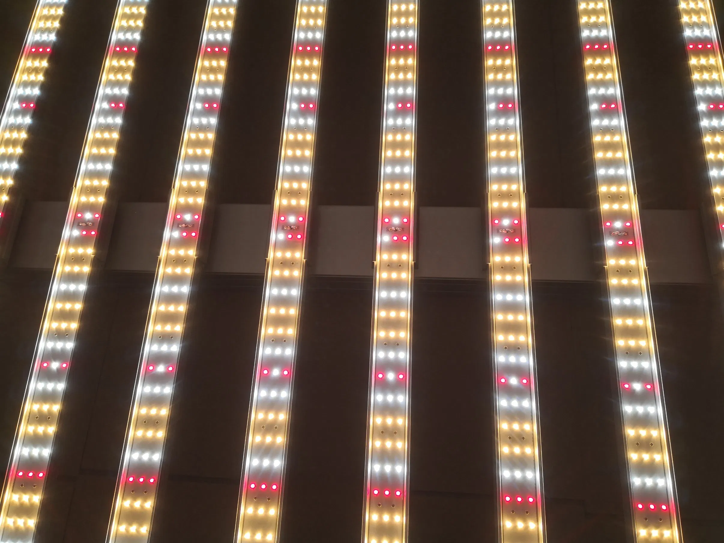 Premium Indoor LED Grow Light Stand for Medicinal Plants