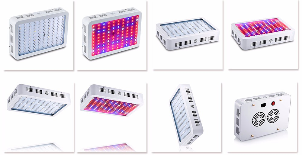 300W 600W 800W Full Spectrum LED Grow Light for Indoor Plants