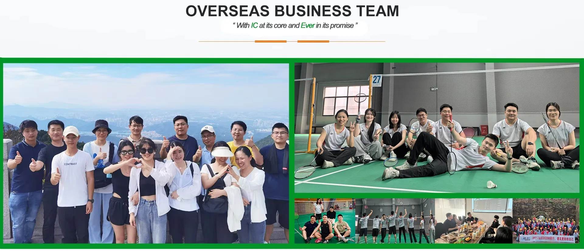 Grow Light Application 2