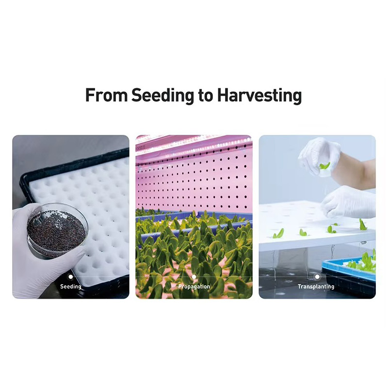 Agg 40 Hq Hydroponic Container Gardening Vertical Hydroponic Container Farm Integrated Cargo Aquaculture System Metal Direct Shipping Integrated Cargo