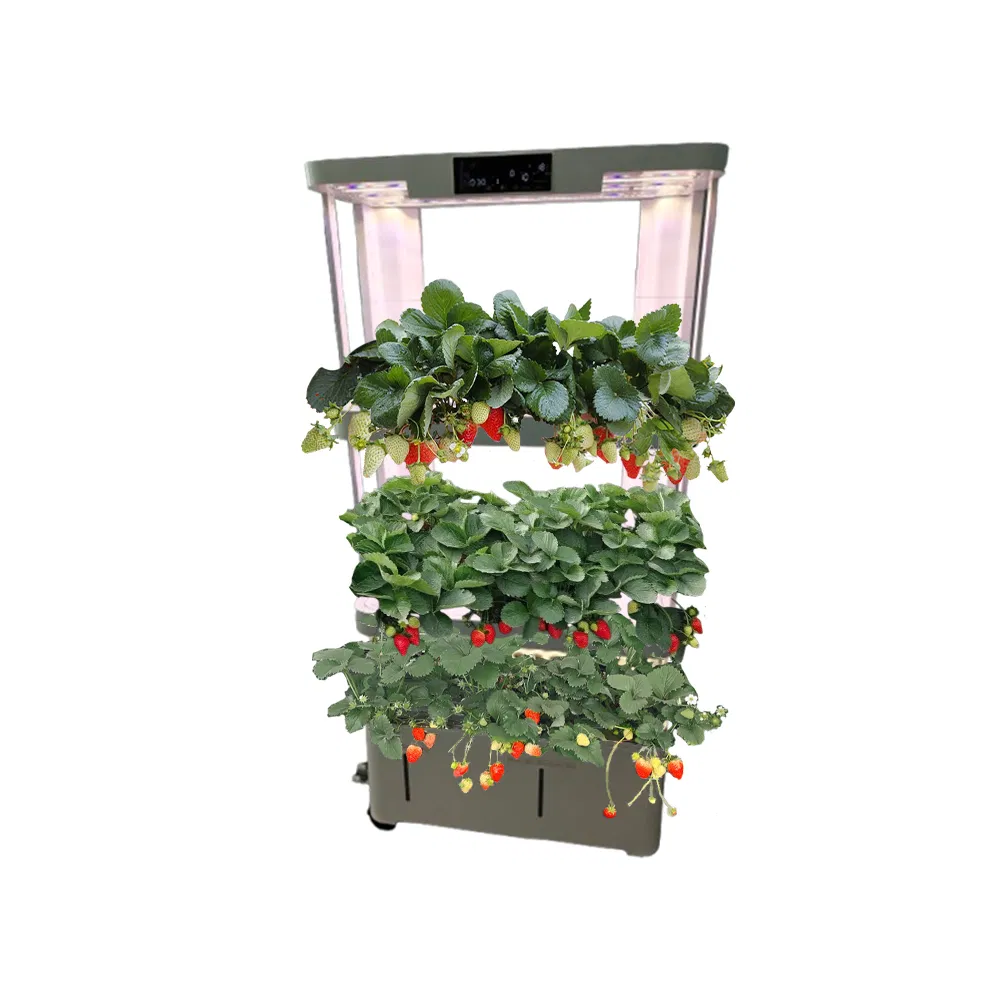 3-Tier Indoor Hydroponic Smart LED Vertical Farm Shenzhen LED Grow Light for Strawberry in Home