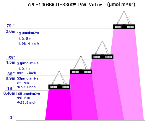 High Quality 2024 New Patent Square 40W 45W 300W Full Spectrum LED COB Grow Light for Flower/Vegetable