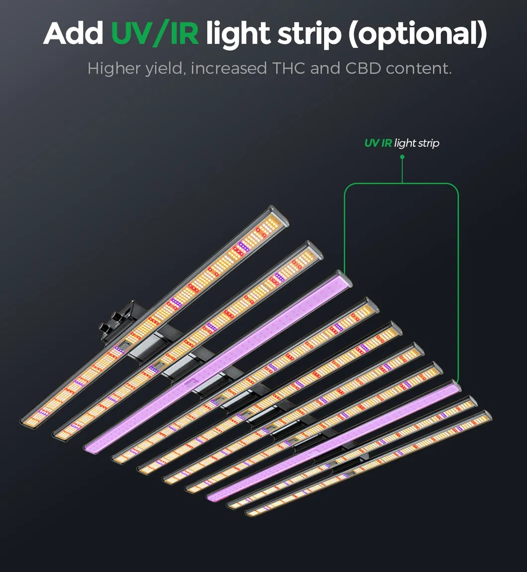 Indoor Plant Grow Light China