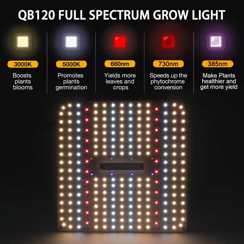 UVB and IR Red 385nm 2X2 Suppliers Ppfd Home Plant Grow Light Energy Saving UV 301b Chips (RoHS)