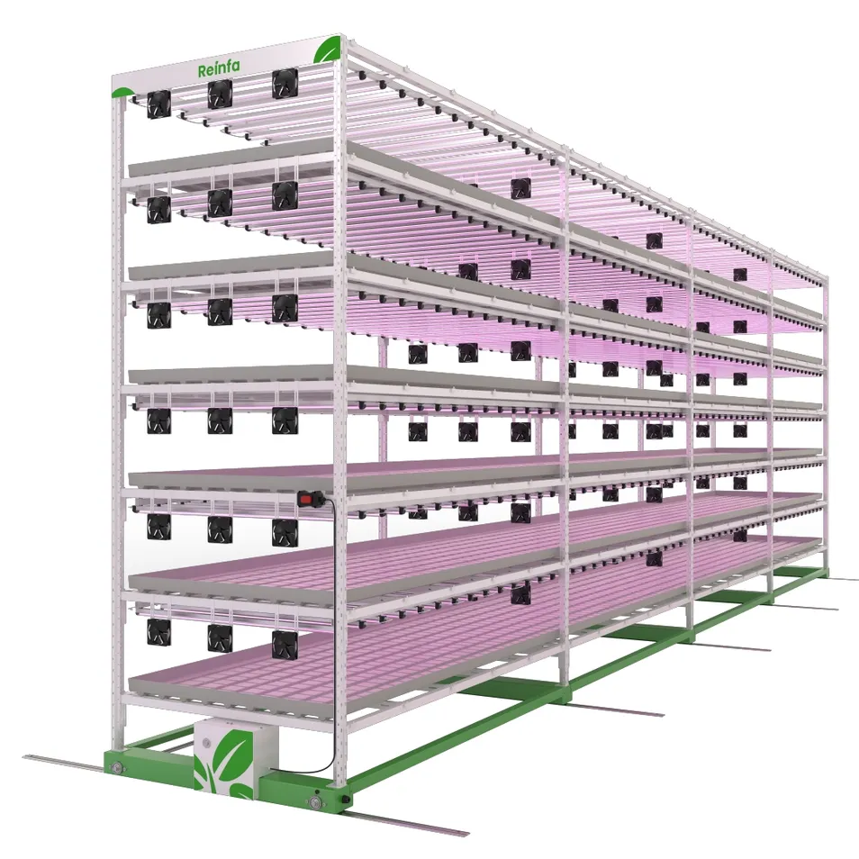 Hydroponic System View 1