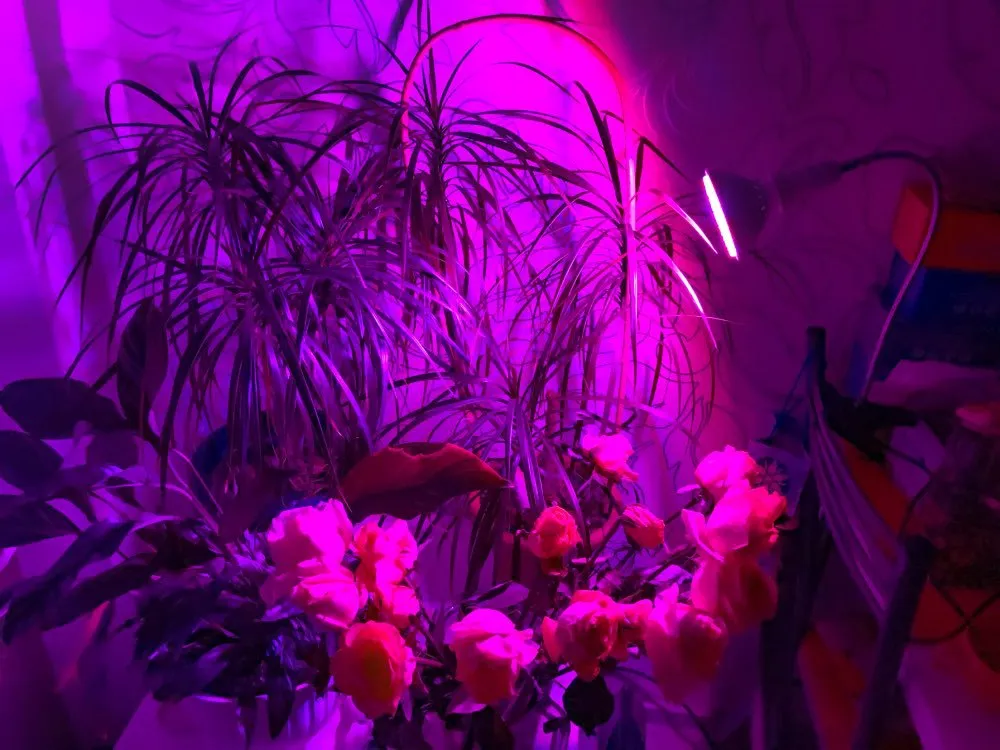 E27 360 Degrees 3W 5W 7W LED Plant Grow Light