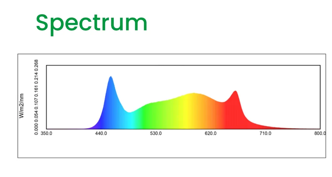 Spectrum