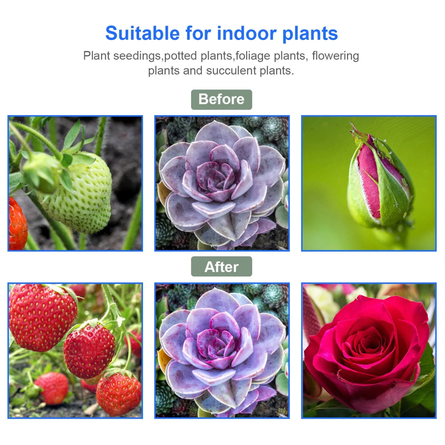 Full Spectrum Plant Grow Light Strips with Timer Sunlike Grow Lamp for Hydroponics Succulent, 2 Bars, 4 Bars, 6 Bars