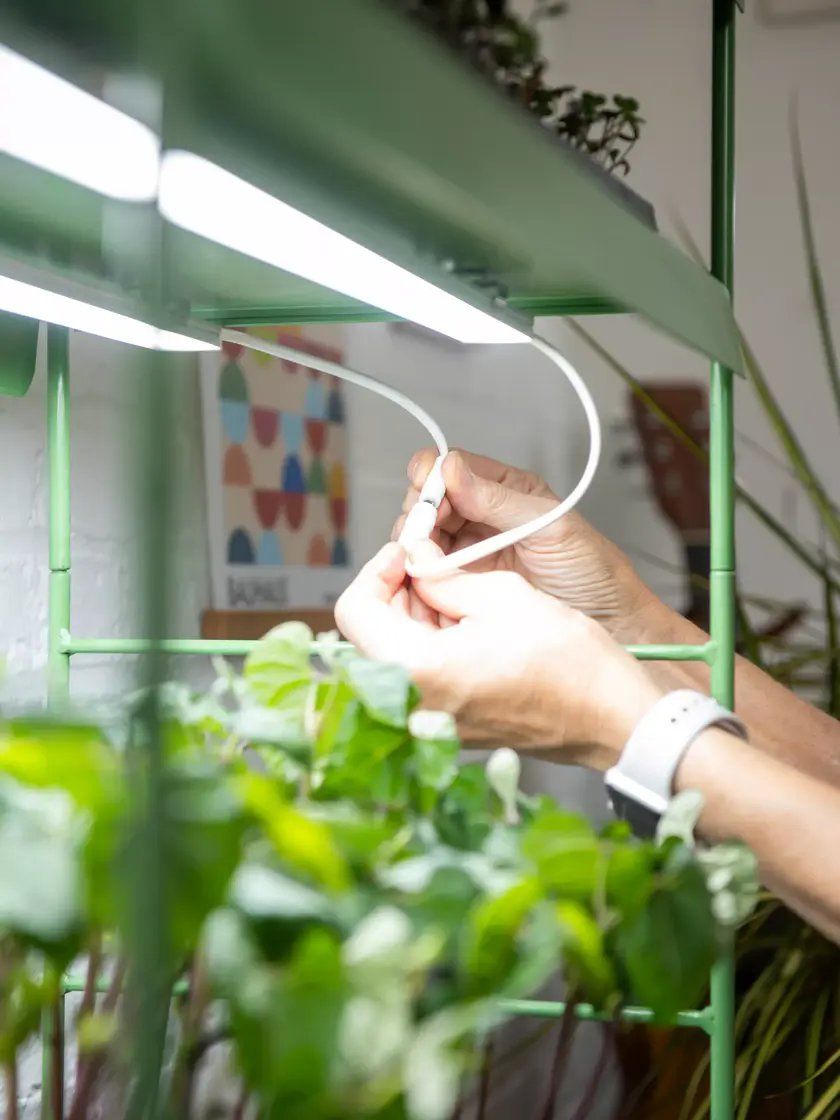 High-Performance Magnetic LED Grow Lights for Indoor Gardens