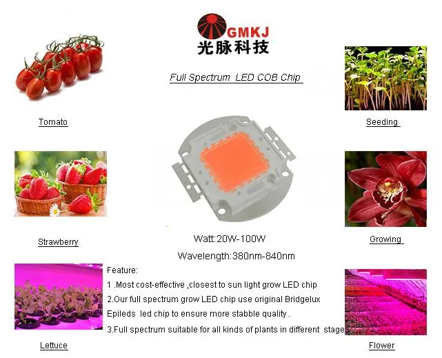 LED Plant Growth Application