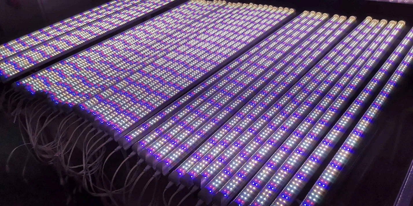 Greenhouse Grow Lamp COB Horticulture Hydroponic Light for Indoor Plant Full Spectrum LED Grow Lights Bar Hydroponic Growing LED Light with Frame