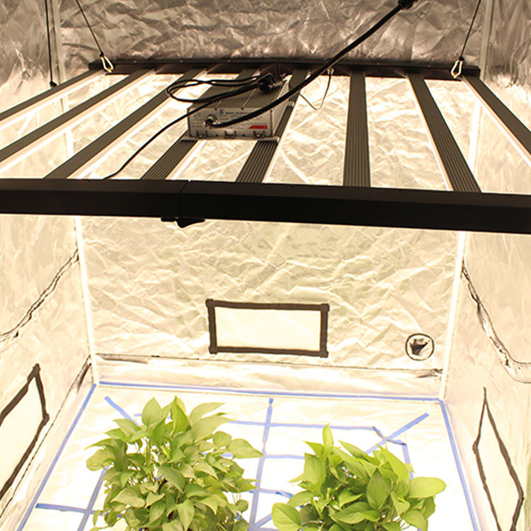 Hot 6oow UV IR Hydroponic Indoor Horticulture Dimmable Full Spectrum Indoor LED Plant Grow Lamp Light