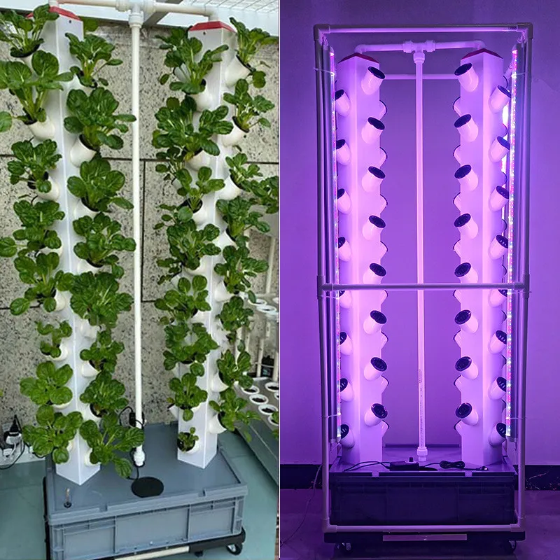 Hydroponic Setup