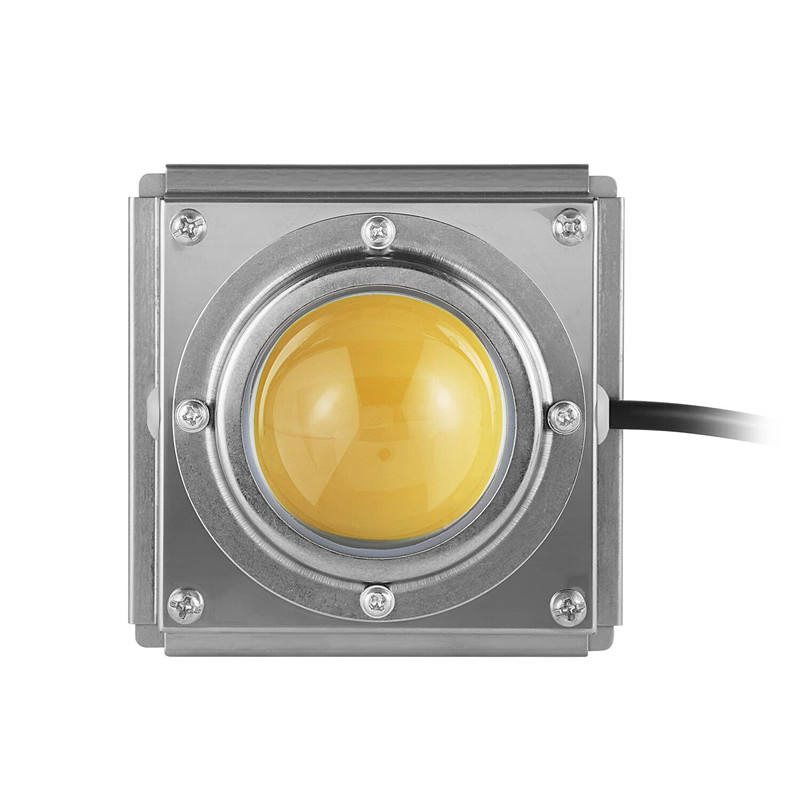 Full Spectrum COB Grow Light High Luminous Efficiency Growing Lamp for Plants