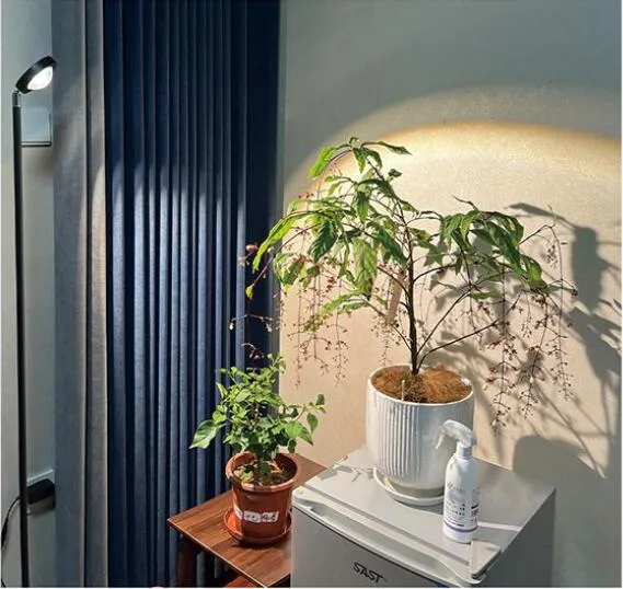 Grow Light Application 3