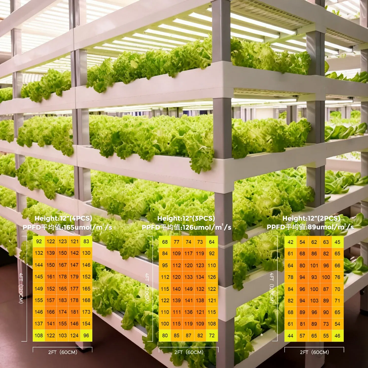 T8 Plant Growth Tube Full Spectrum Grow Light 36W for Succulent Coloring