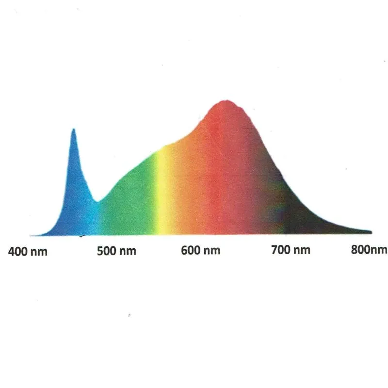 Spectrum Chart