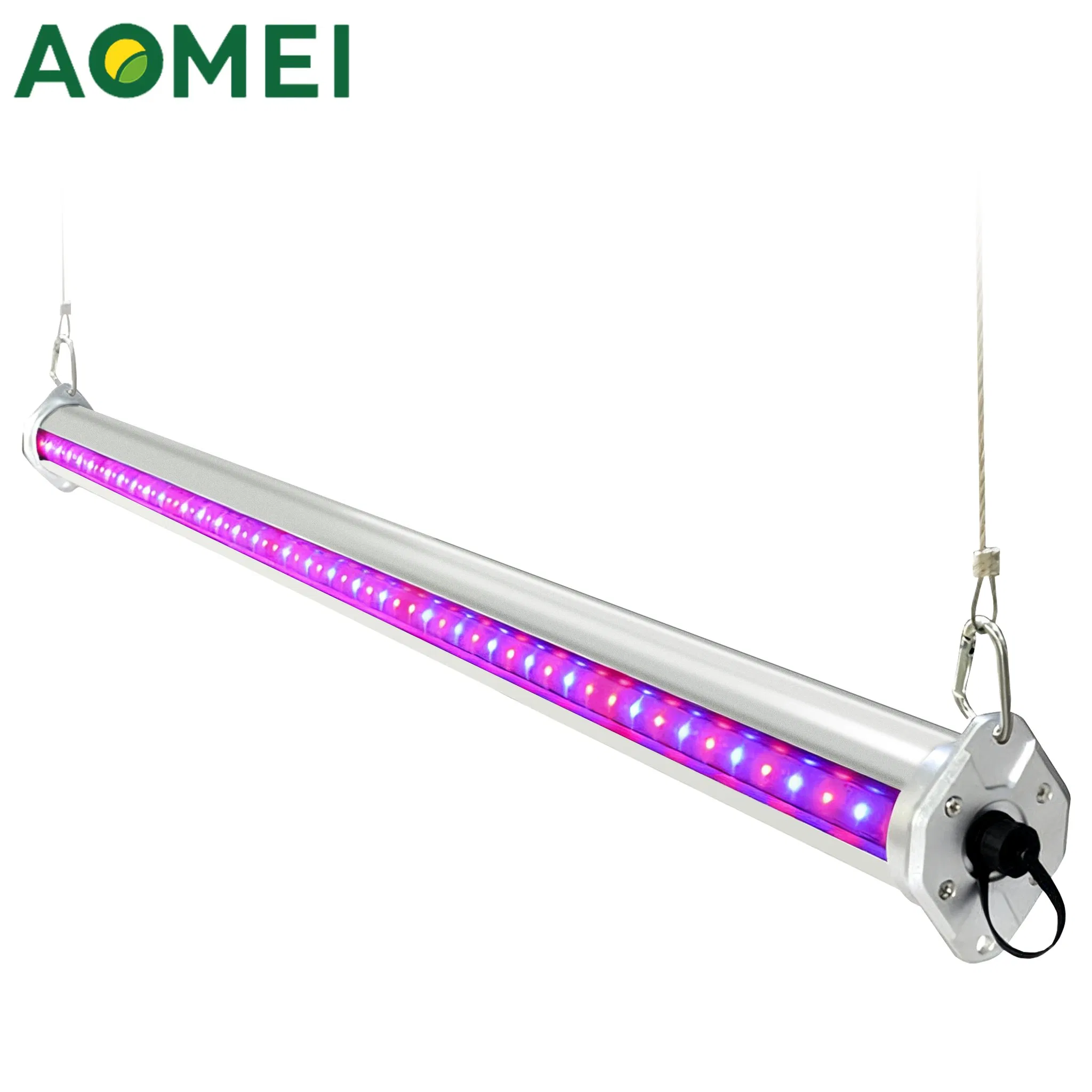 Vertical Inter-Canopy Supplemental LED Grow Light for Greenhouse Crops with Blue &amp; Red Spectrum