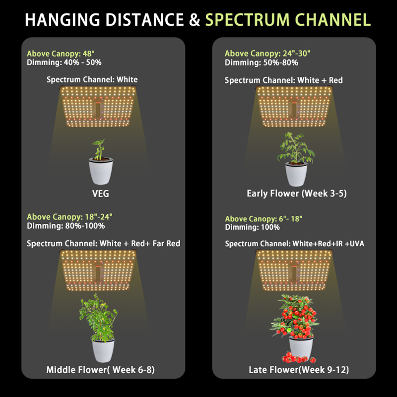 Samsung Large-Scale Professional Mj Flowering&Booster LED Grow Light with Replaceable Dimmable UV Manufacturer
