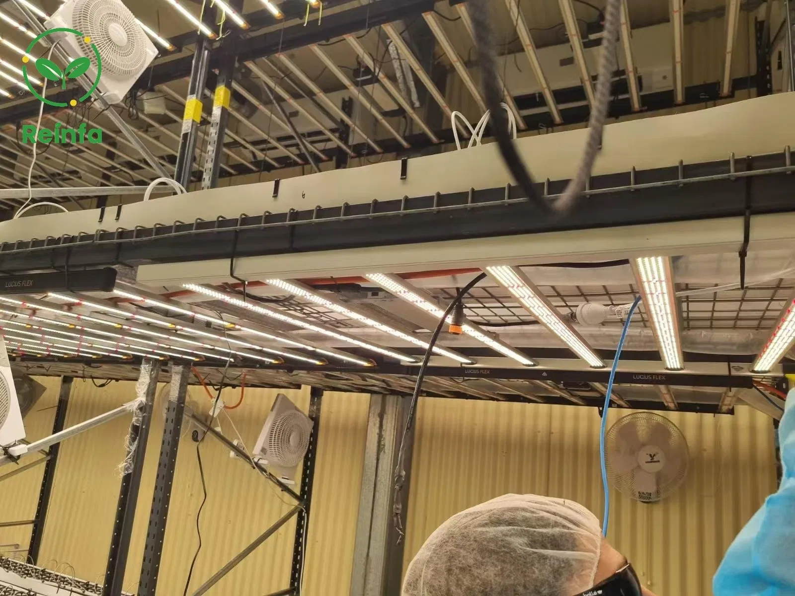 ETL Listed 650W Dimmable LED Grow Light Full Spectrum