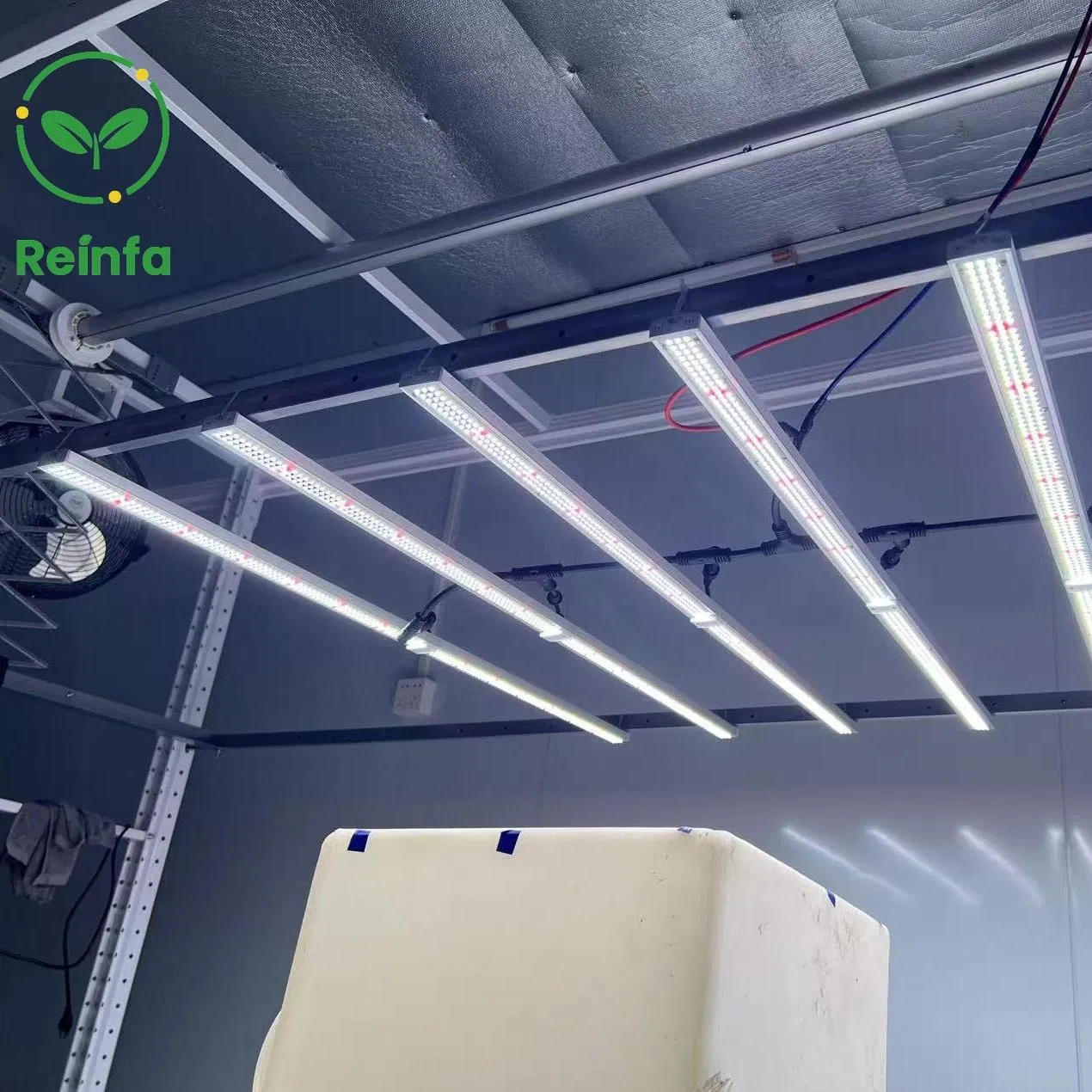 650W Full Spectrum LED Grow Light for Medicinal Plants Indoor Hydroponics