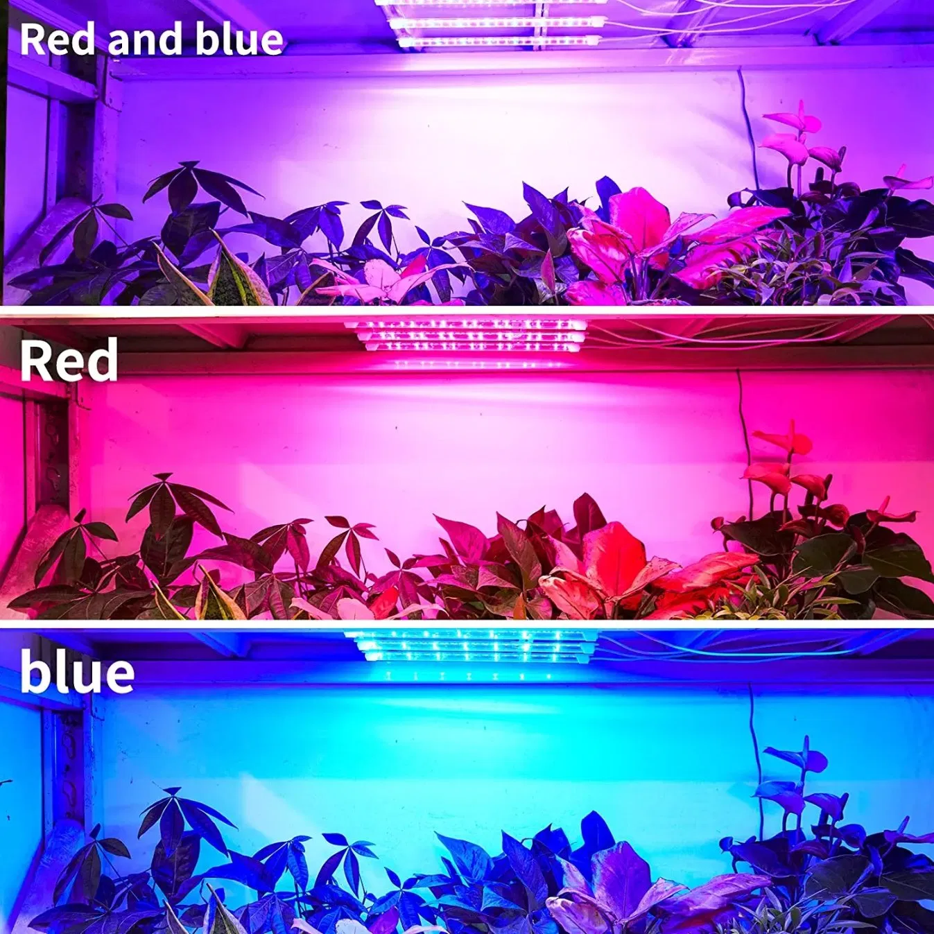 Grow Lights for Indoor Plants/Herb Starter/Clone Red Blue Spectrum Plant Grow Light Adjustable Gooseneck
