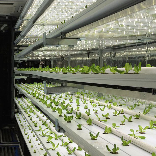 Hydroponic Shipping Container Farms Box Modular Farm Solution 40hq Hydroponic Container System