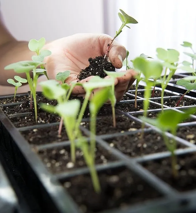 Grow Light System Detail 3