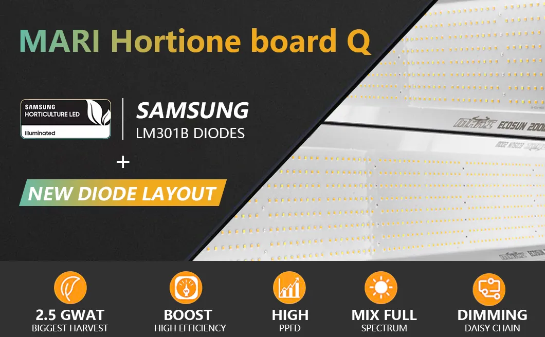 Hortione Quantum Board 200W LED Grow Light