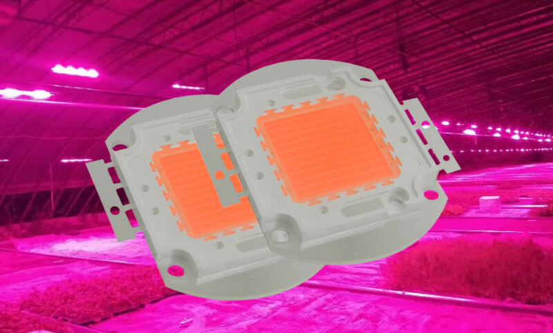 Full Spectrum COB LED Plant Grow Light 20-100W