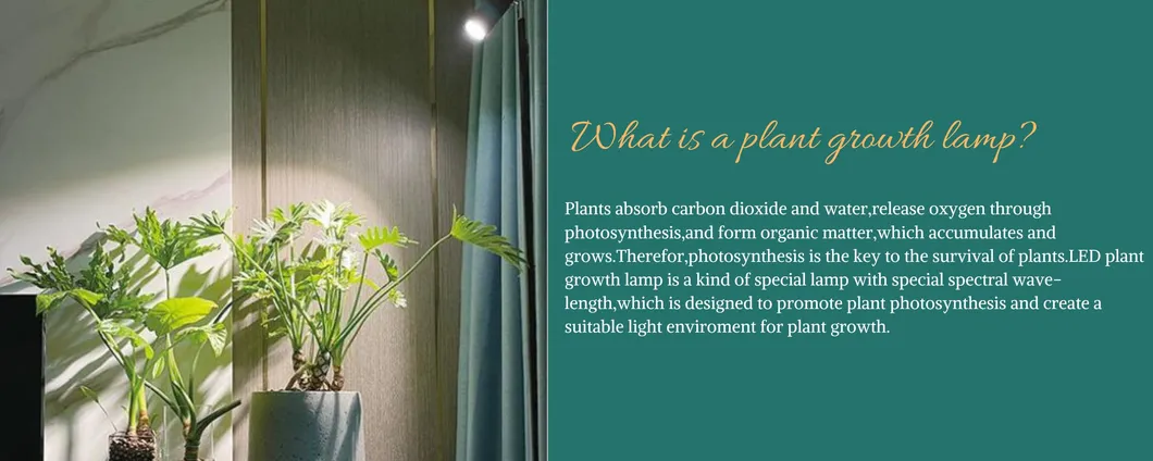 Full Spectrum COB Plant Grow Light