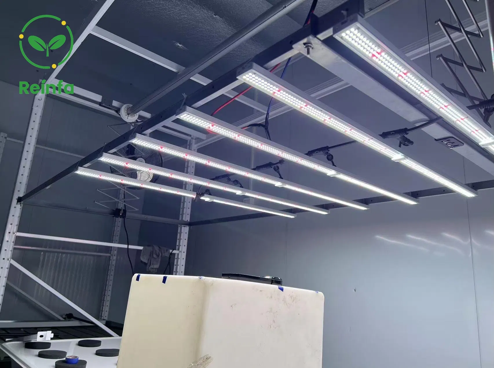 Reinfa High Quality Samsung Powered 650W Full Spectrum LED Grow Light for Indoor Plants