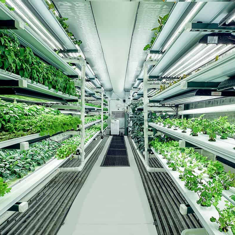 Hydroponic Shipping Container Farms Box Modular Farm Solution 40hq Hydroponic Container System